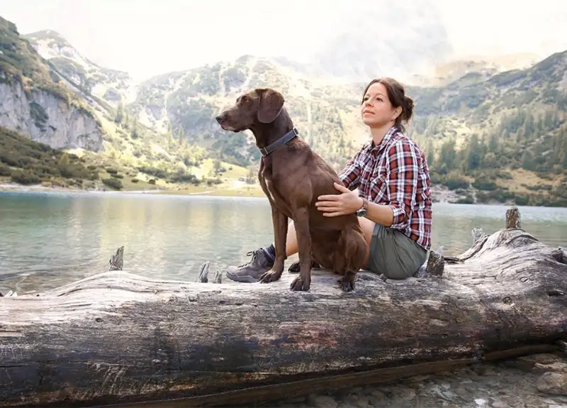 Hundeurlaub in Gastein ist ein Erlebnis