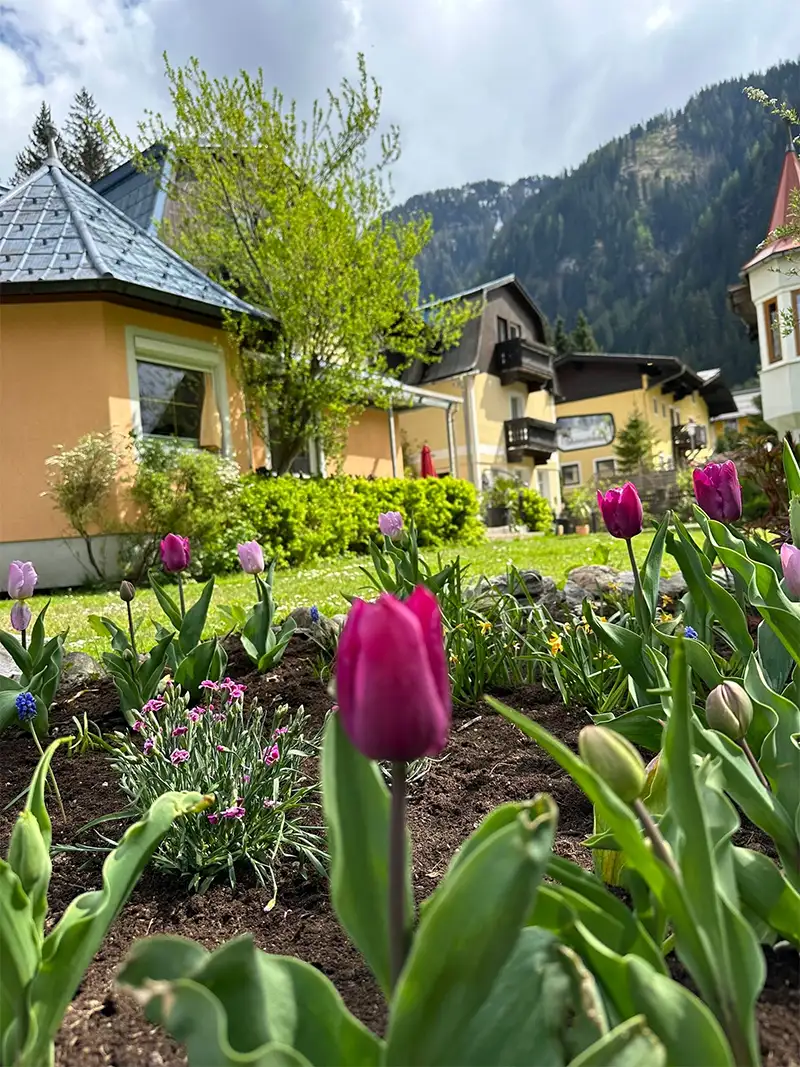 Gruber Hotel Appartements Bad Gastein