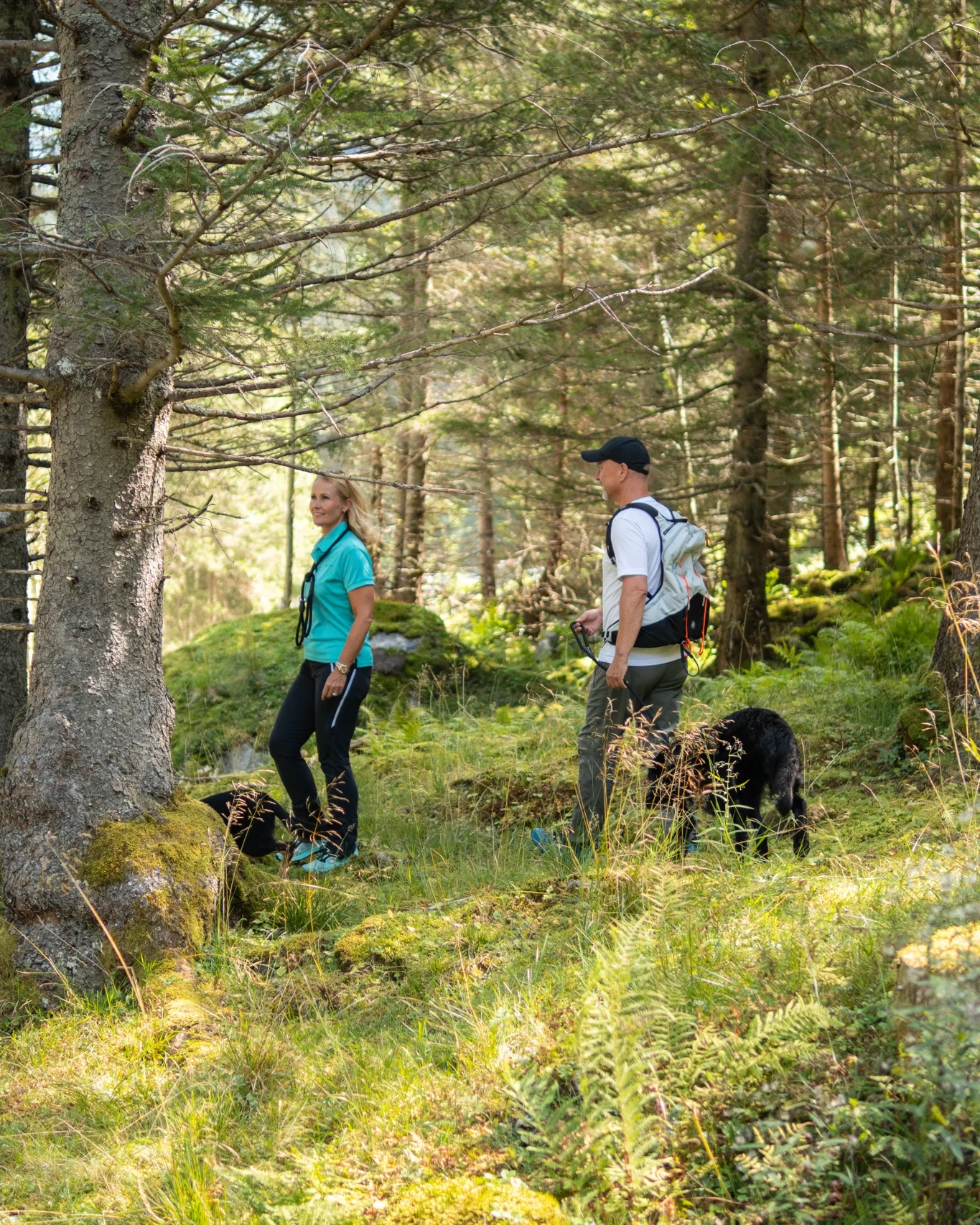 Wandern mit Hund im Gasteinertal – Paar mit Hund auf einem ruhigen Waldweg