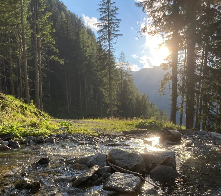 Sonnenlicht über einer Wasserstelle am Almweg – perfekte Abkühlung bei einer leichten Wanderung mit Hund in Gastein