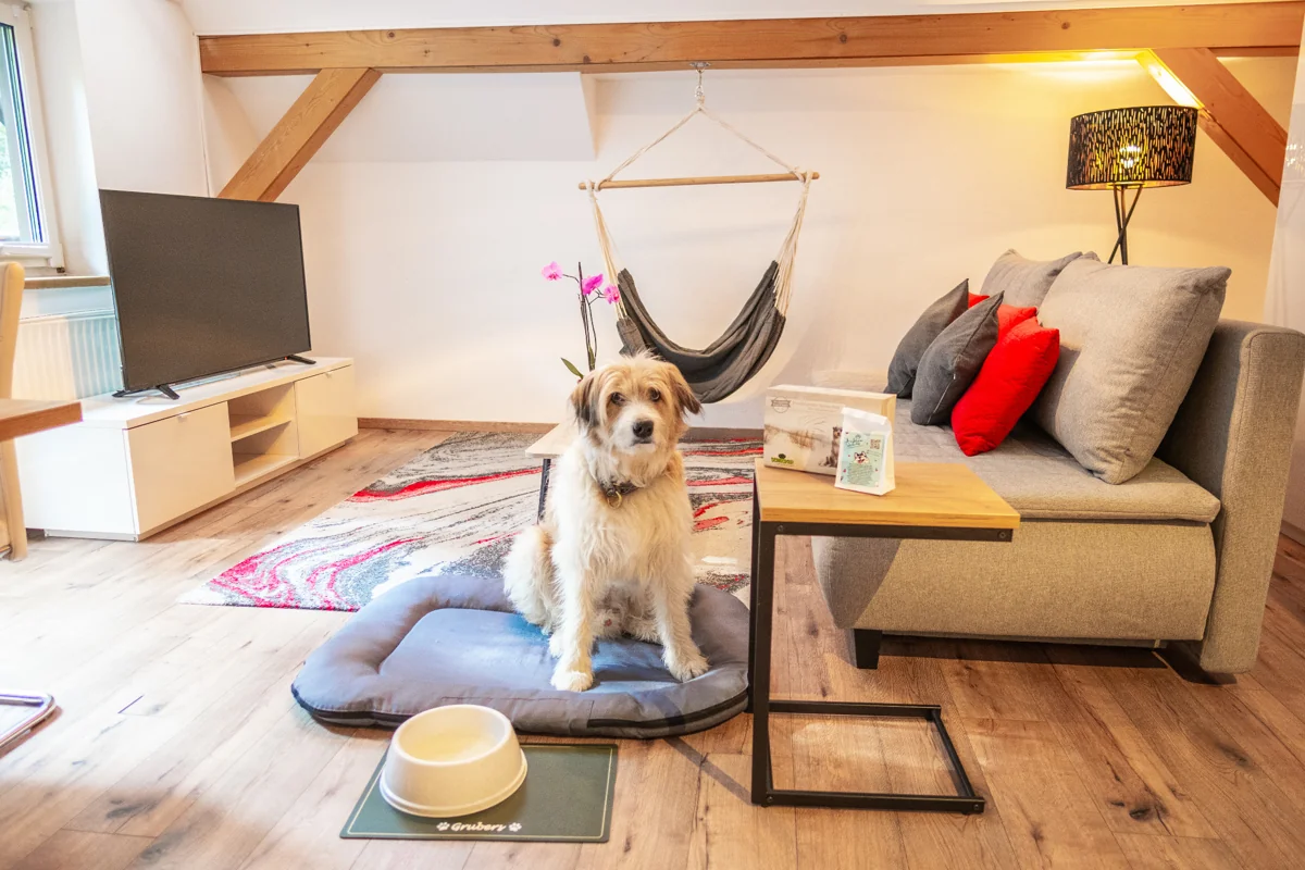 Hundefreundliches Apartment in Gastein – viel Platz für Mensch und Hund