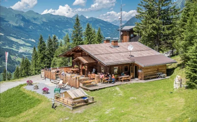 Graukogelalm – schattiger Güterweg, hundefreundlich